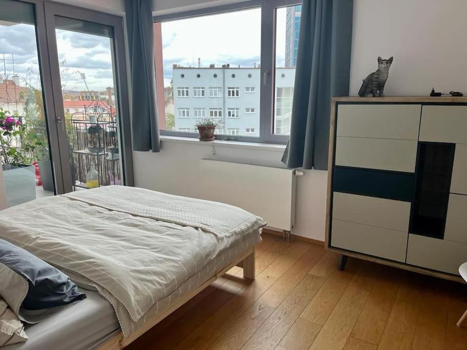 Apartment In Historical Center With Park View Plzeň Eksteriør billede