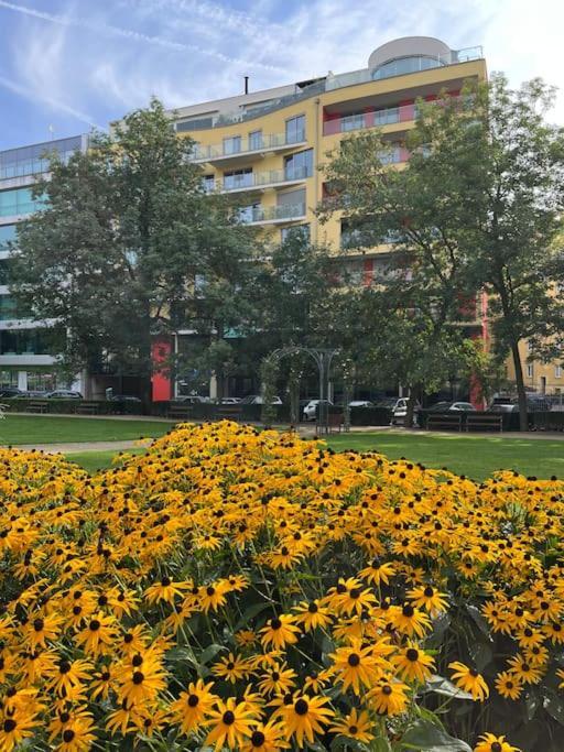 Apartment In Historical Center With Park View Plzeň Eksteriør billede